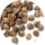 Graines de moringa